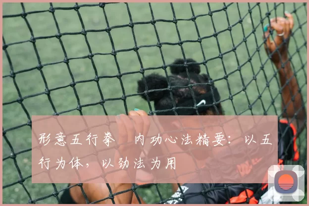 形意五行拳・内功心法精要:以五行为体,以劲法为用