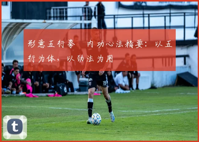 形意五行拳・内功心法精要：以五行为体，以劲法为用