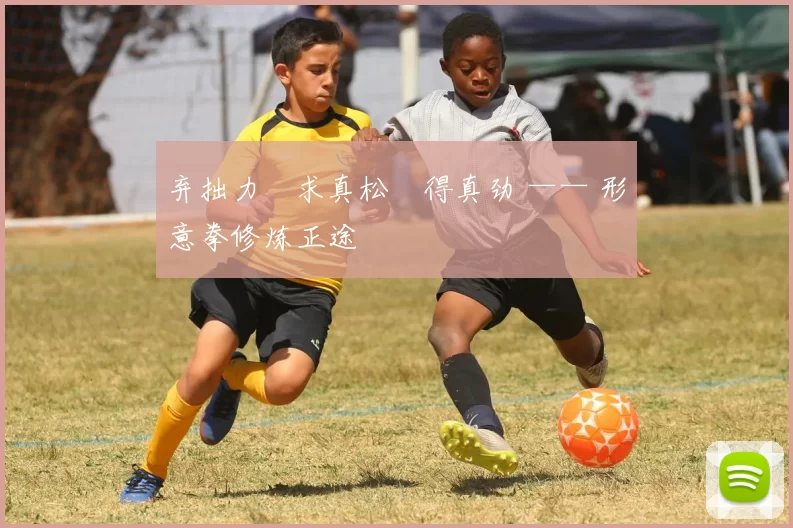 弃拙力・求真松・得真劲 —— 形意拳修炼正途