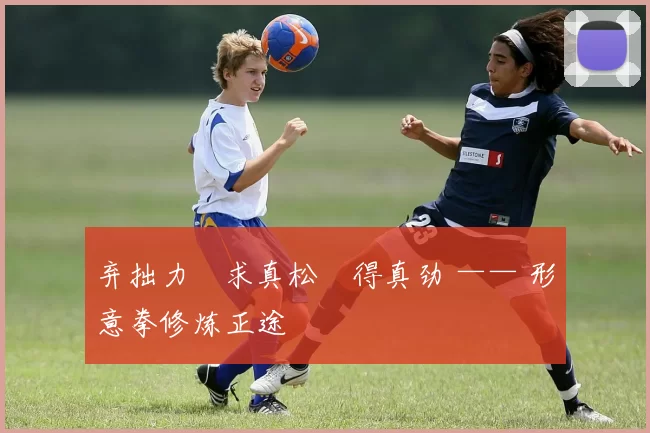 弃拙力・求真松・得真劲 —— 形意拳修炼正途