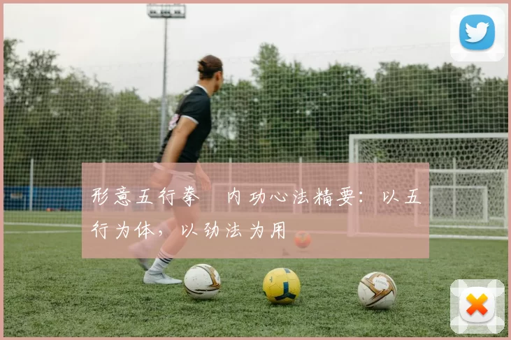 形意五行拳・内功心法精要：以五行为体，以劲法为用