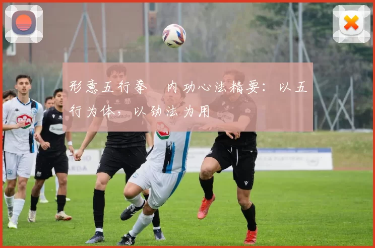 形意五行拳・内功心法精要:以五行为体,以劲法为用