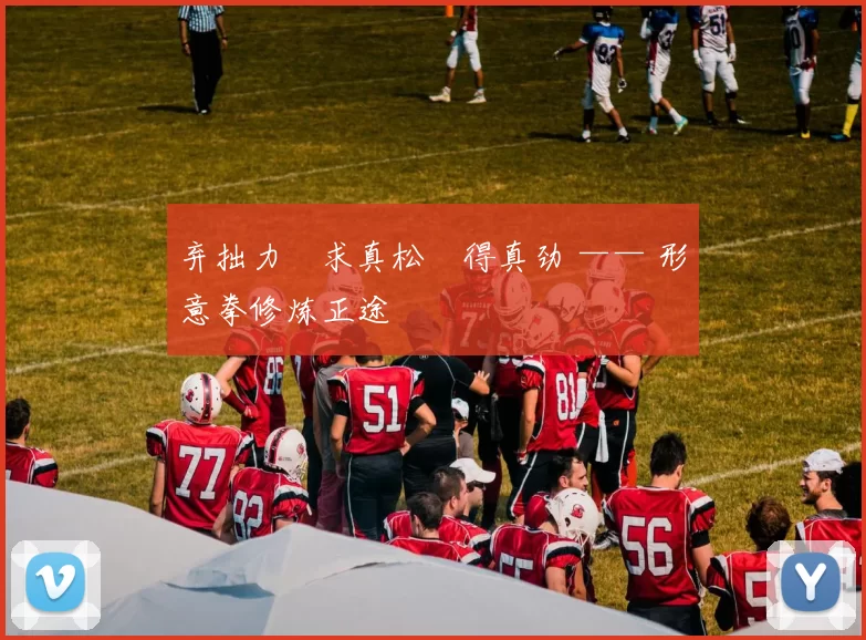 弃拙力・求真松・得真劲 —— 形意拳修炼正途