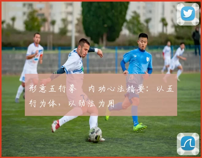 形意五行拳・内功心法精要：以五行为体，以劲法为用