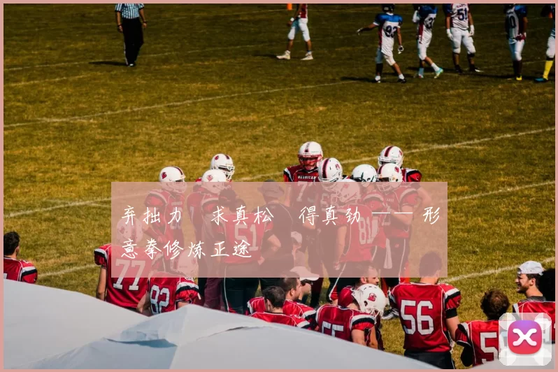 弃拙力・求真松・得真劲 —— 形意拳修炼正途