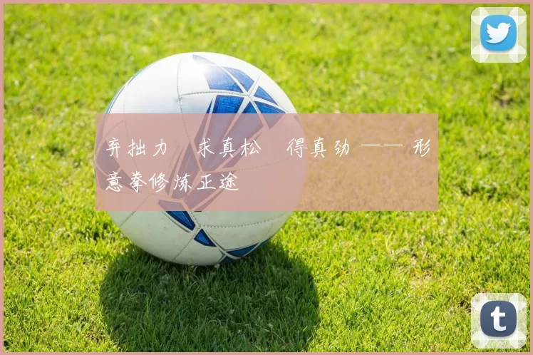 弃拙力・求真松・得真劲 —— 形意拳修炼正途