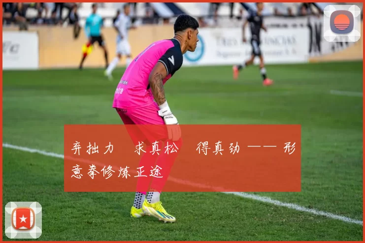 弃拙力・求真松・得真劲 —— 形意拳修炼正途