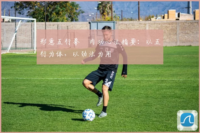 形意五行拳・内功心法精要:以五行为体,以劲法为用