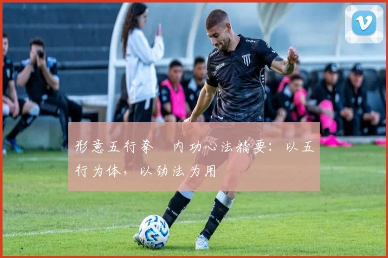 形意五行拳・内功心法精要:以五行为体,以劲法为用