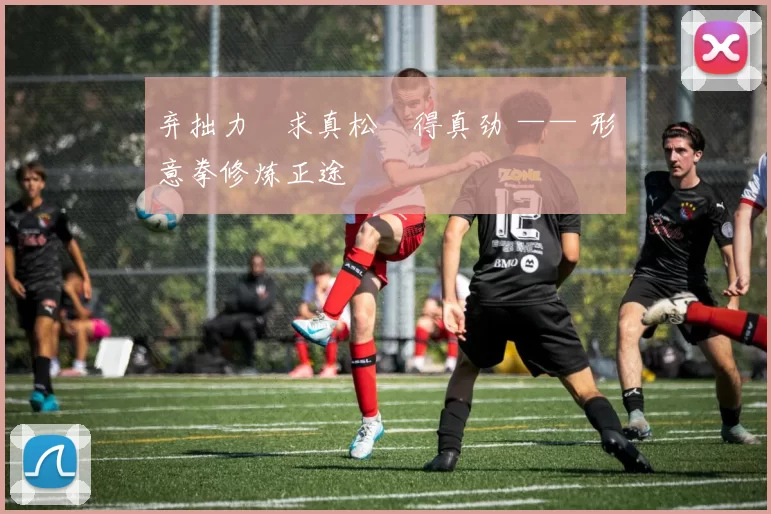 弃拙力・求真松・得真劲 —— 形意拳修炼正途