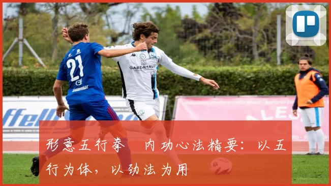 形意五行拳・内功心法精要：以五行为体，以劲法为用