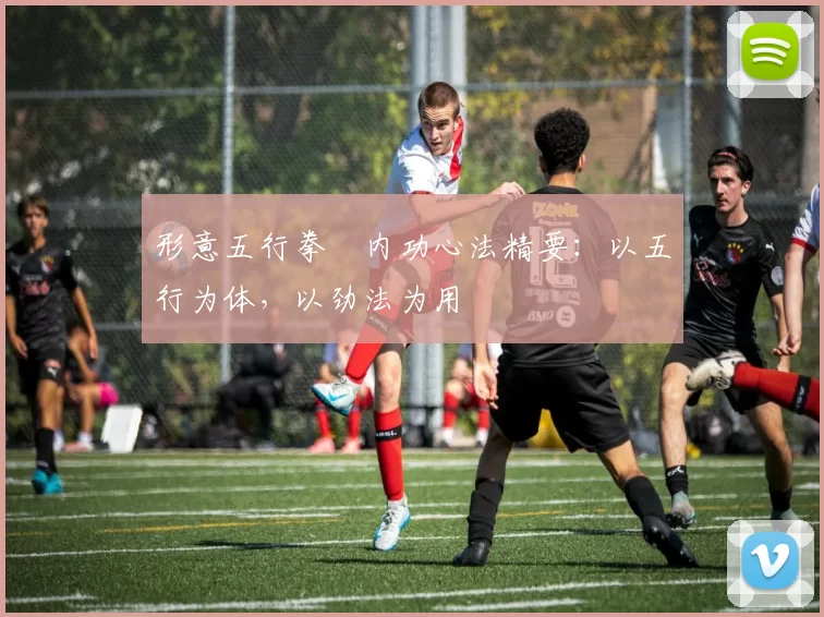 形意五行拳・内功心法精要：以五行为体，以劲法为用