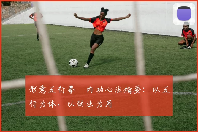 形意五行拳・内功心法精要:以五行为体,以劲法为用