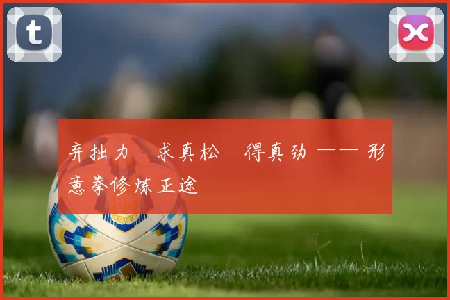 弃拙力・求真松・得真劲 —— 形意拳修炼正途