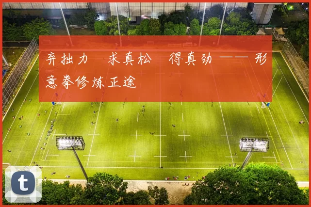 弃拙力・求真松・得真劲 —— 形意拳修炼正途