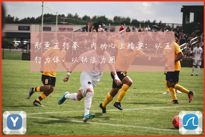 形意五行拳・内功心法精要：以五行为体，以劲法为用