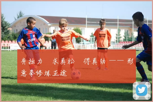 弃拙力・求真松・得真劲 —— 形意拳修炼正途