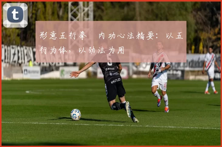 形意五行拳・内功心法精要：以五行为体，以劲法为用