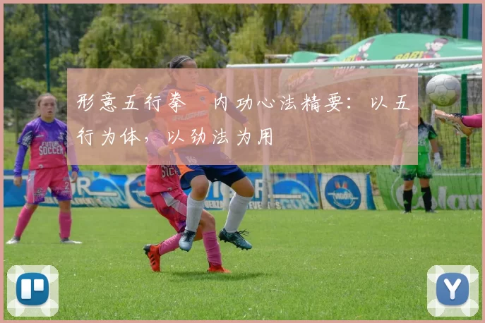 形意五行拳・内功心法精要：以五行为体，以劲法为用