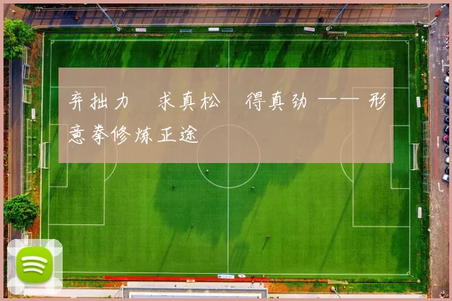 弃拙力・求真松・得真劲 —— 形意拳修炼正途