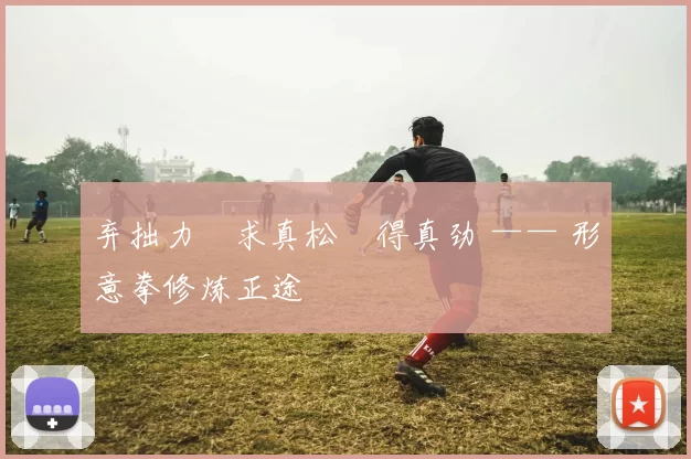 弃拙力・求真松・得真劲 —— 形意拳修炼正途