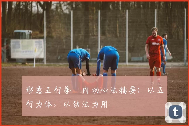 形意五行拳・内功心法精要：以五行为体，以劲法为用