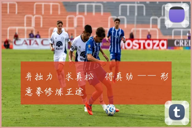 弃拙力・求真松・得真劲 —— 形意拳修炼正途