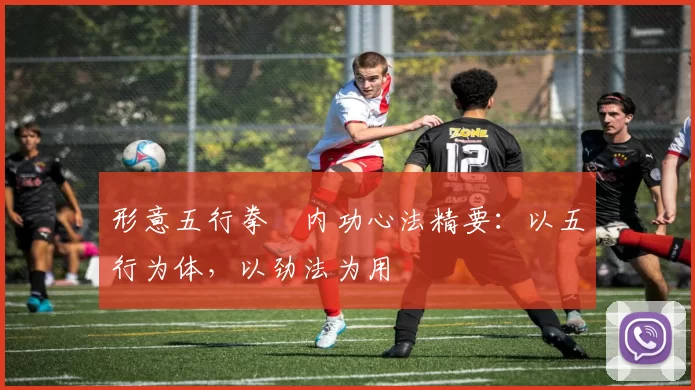 形意五行拳・内功心法精要：以五行为体，以劲法为用