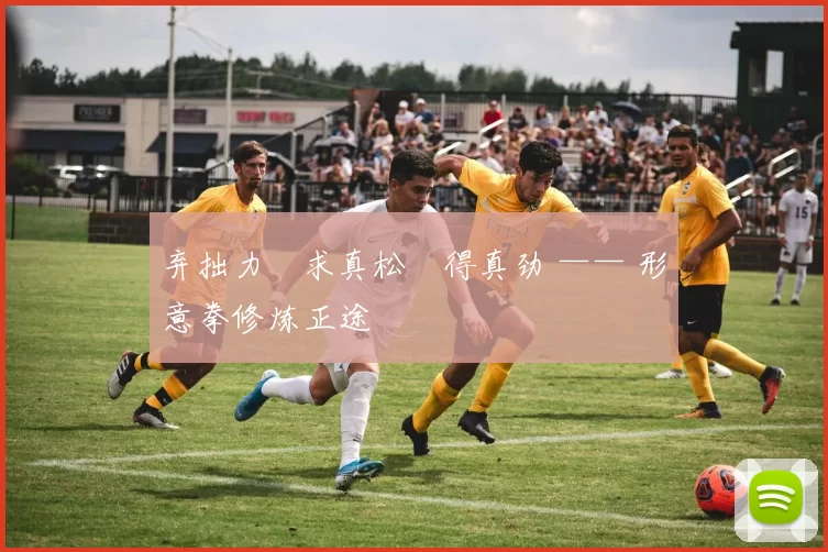 弃拙力・求真松・得真劲 —— 形意拳修炼正途