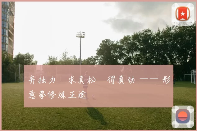 弃拙力・求真松・得真劲 —— 形意拳修炼正途