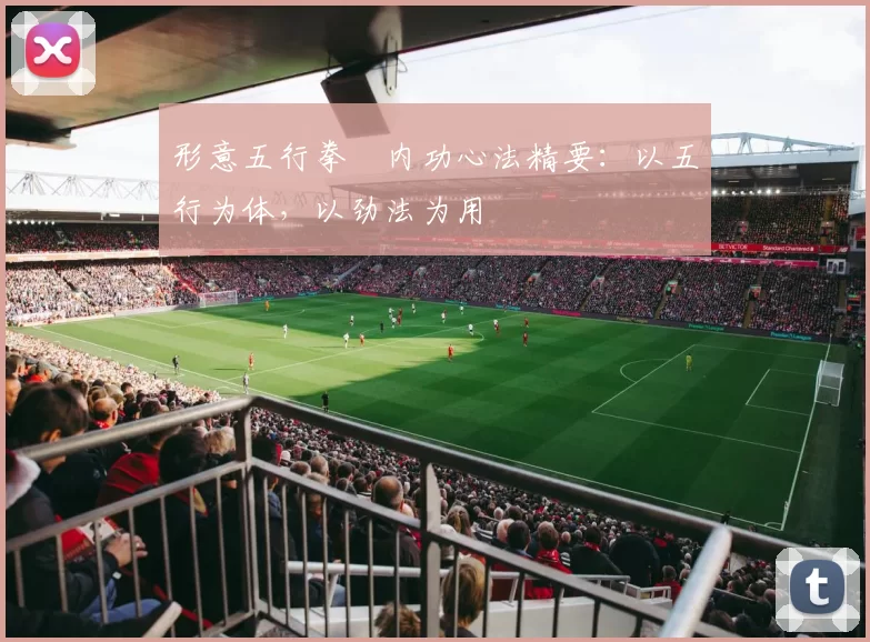 形意五行拳・内功心法精要：以五行为体，以劲法为用