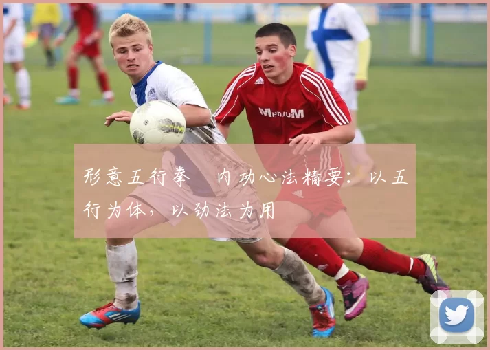 形意五行拳・内功心法精要：以五行为体，以劲法为用