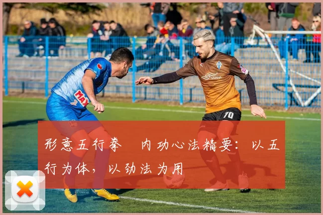 形意五行拳・内功心法精要：以五行为体，以劲法为用