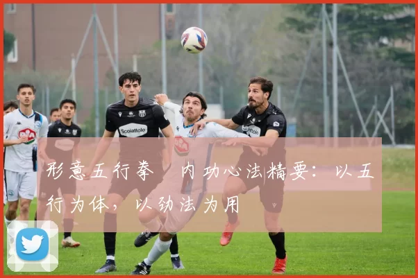 形意五行拳・内功心法精要：以五行为体，以劲法为用