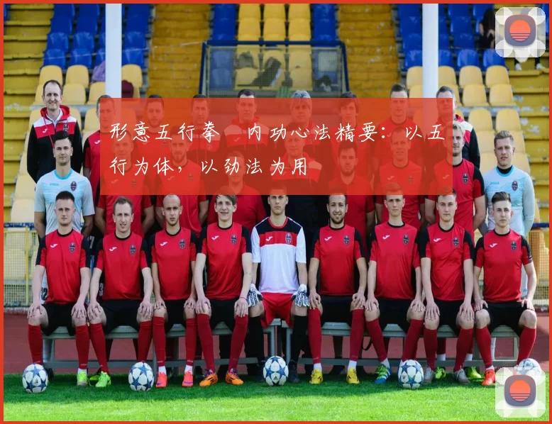 形意五行拳・内功心法精要：以五行为体，以劲法为用