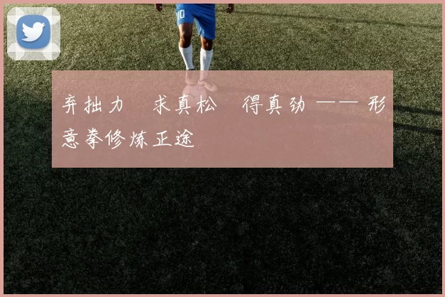 弃拙力・求真松・得真劲 —— 形意拳修炼正途