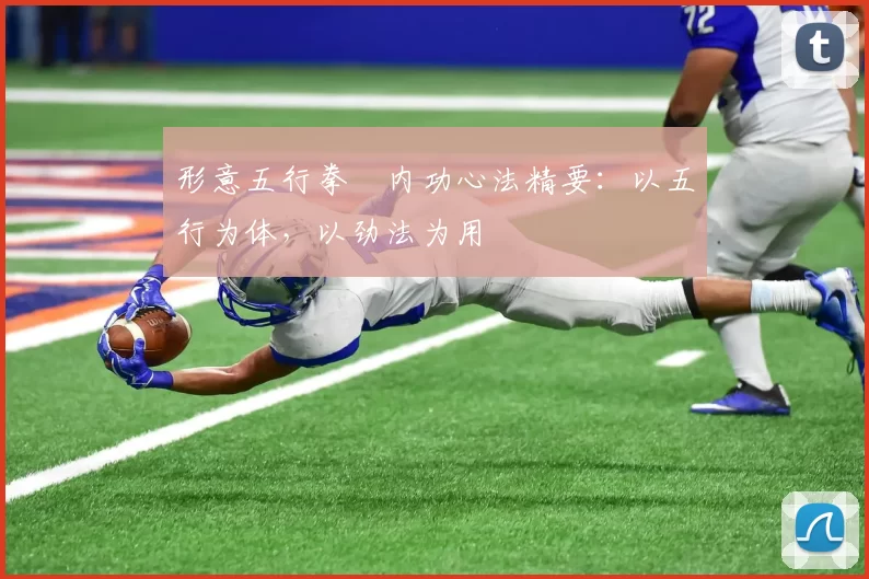 形意五行拳・内功心法精要：以五行为体，以劲法为用