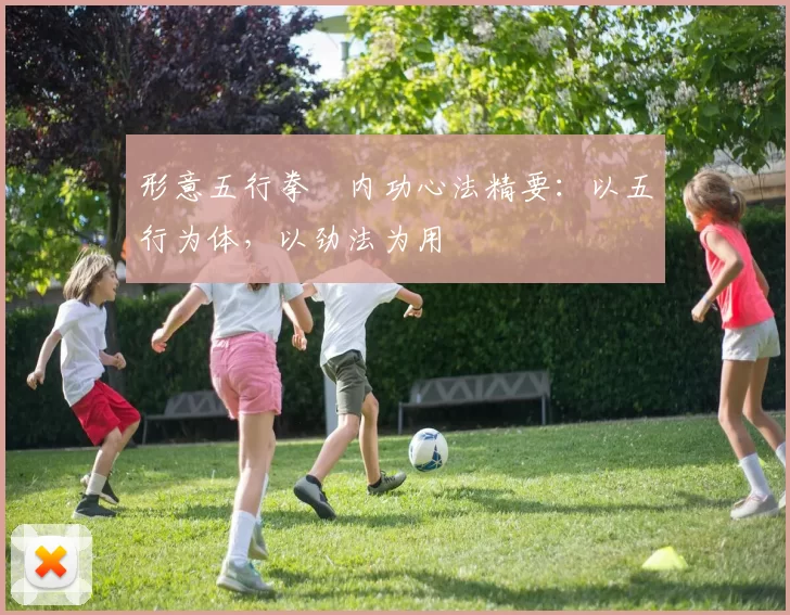 形意五行拳・内功心法精要:以五行为体,以劲法为用