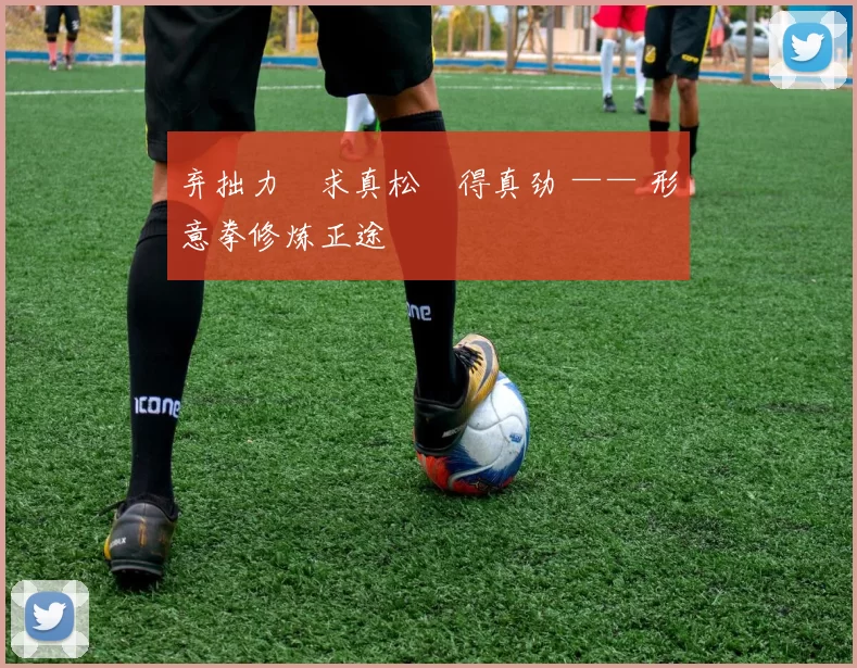 弃拙力・求真松・得真劲 —— 形意拳修炼正途