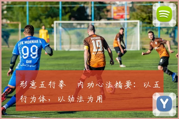 形意五行拳・内功心法精要：以五行为体，以劲法为用