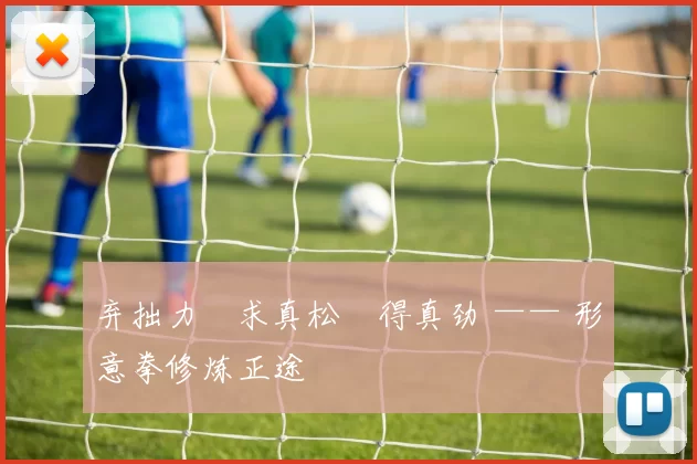 弃拙力・求真松・得真劲 —— 形意拳修炼正途