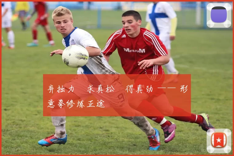 弃拙力・求真松・得真劲 —— 形意拳修炼正途