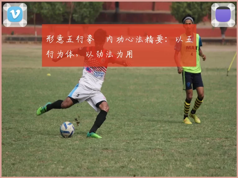 形意五行拳・内功心法精要：以五行为体，以劲法为用