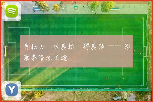 弃拙力・求真松・得真劲 —— 形意拳修炼正途