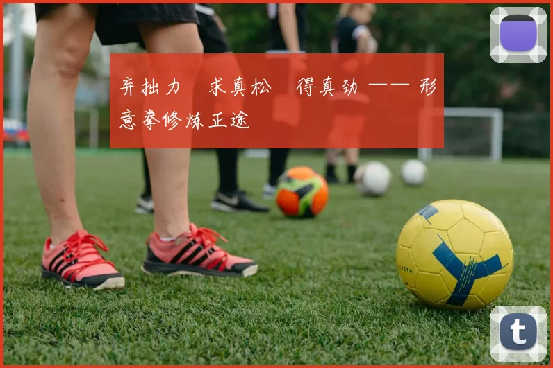 弃拙力・求真松・得真劲 —— 形意拳修炼正途