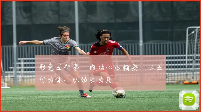 形意五行拳・内功心法精要:以五行为体,以劲法为用