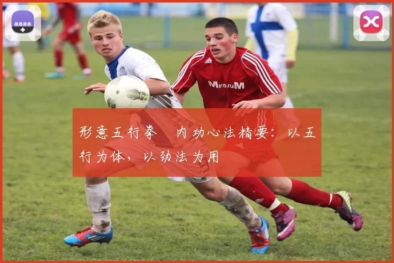 形意五行拳・内功心法精要：以五行为体，以劲法为用