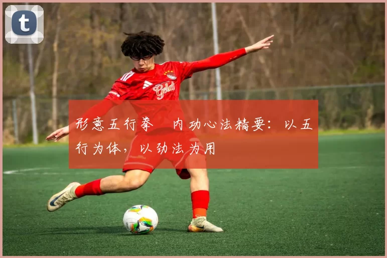 形意五行拳・内功心法精要：以五行为体，以劲法为用