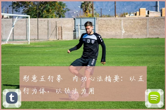 形意五行拳・内功心法精要：以五行为体，以劲法为用