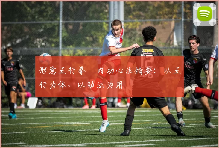 形意五行拳・内功心法精要：以五行为体，以劲法为用